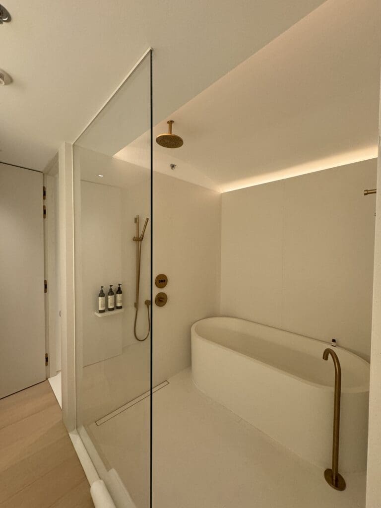 Large, sleek bathroom with rain shower and bathtub